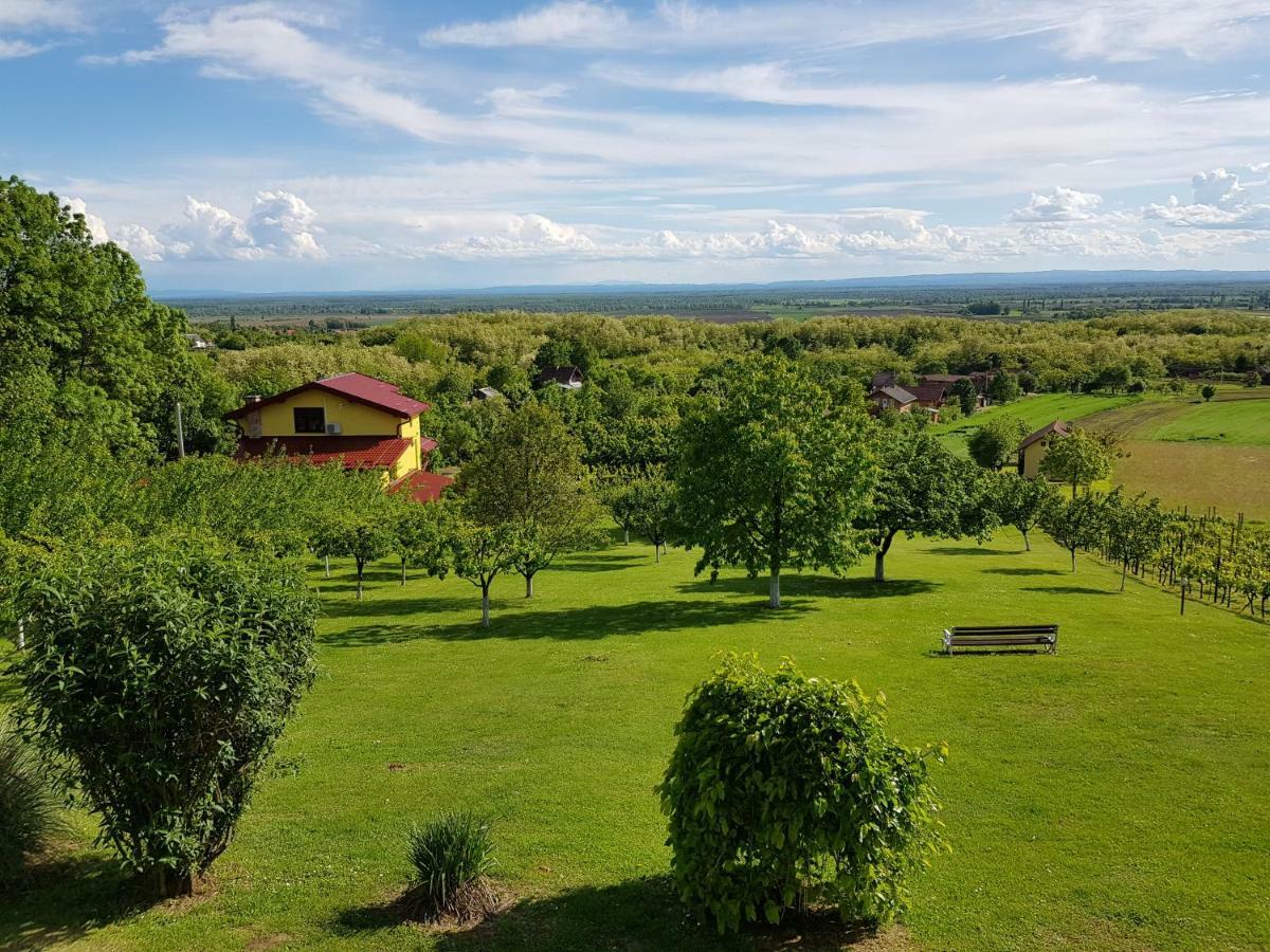 Guest House Blazevic Gornja Gracenica Exterior foto